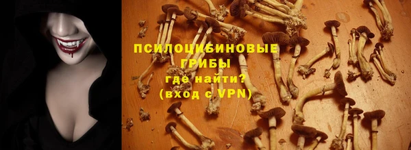 крисы Богданович