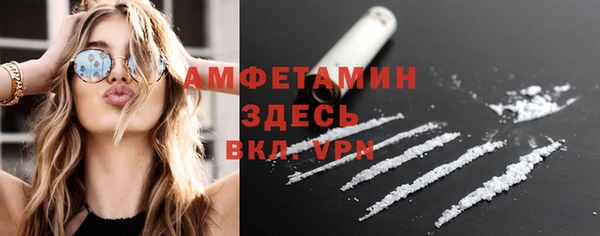 спиды Богородицк