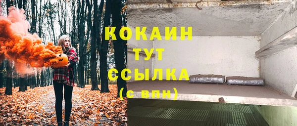 крисы Богданович
