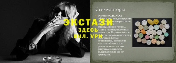 спиды Богородицк