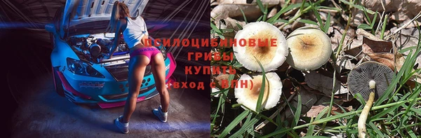 крисы Богданович