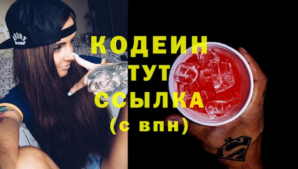 спиды Богородицк